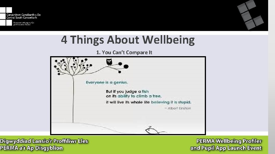 4 Things About Wellbeing 1. You Can’t Compare It 