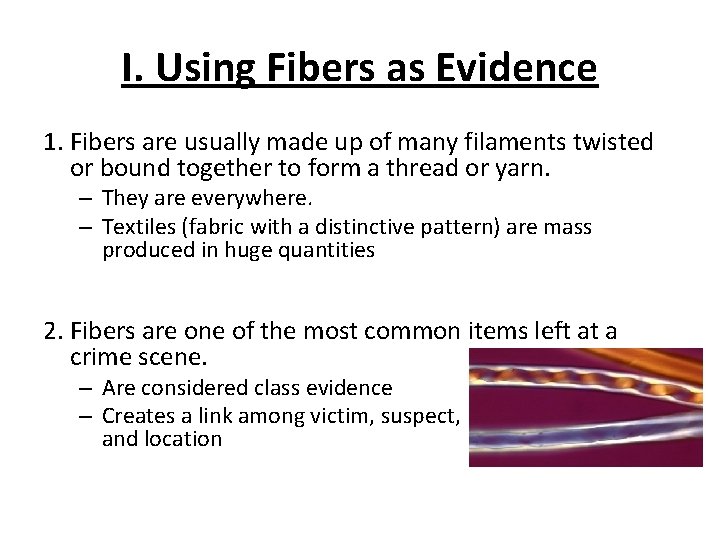 I. Using Fibers as Evidence 1. Fibers are usually made up of many filaments