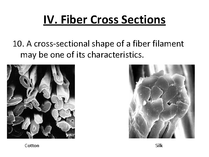 IV. Fiber Cross Sections 10. A cross-sectional shape of a fiber filament may be