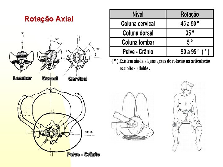 Rotação Axial 