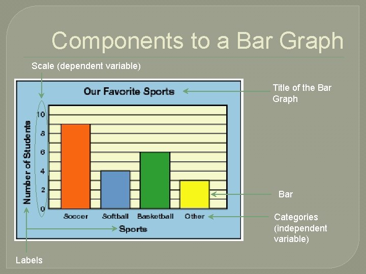 Components to a Bar Graph Scale (dependent variable) Title of the Bar Graph Bar