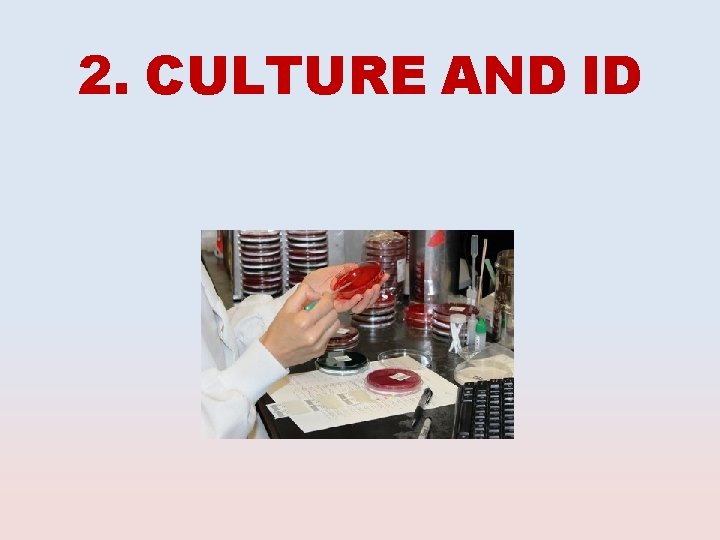 2. CULTURE AND ID 