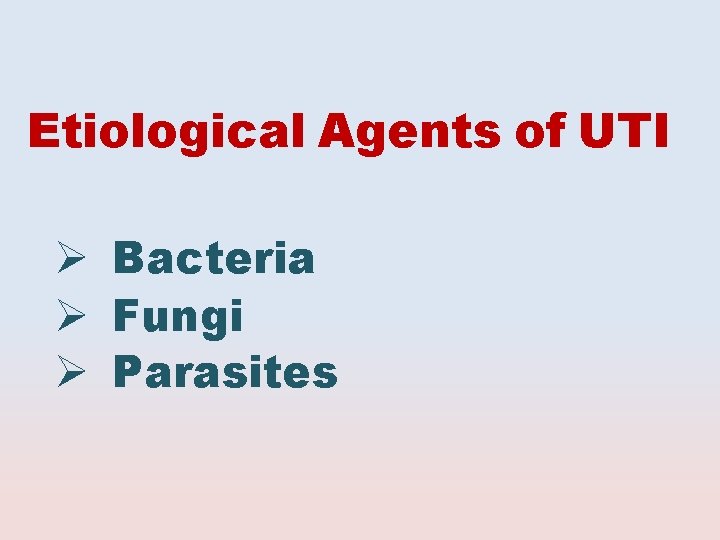 Etiological Agents of UTI Bacteria Fungi Parasites 