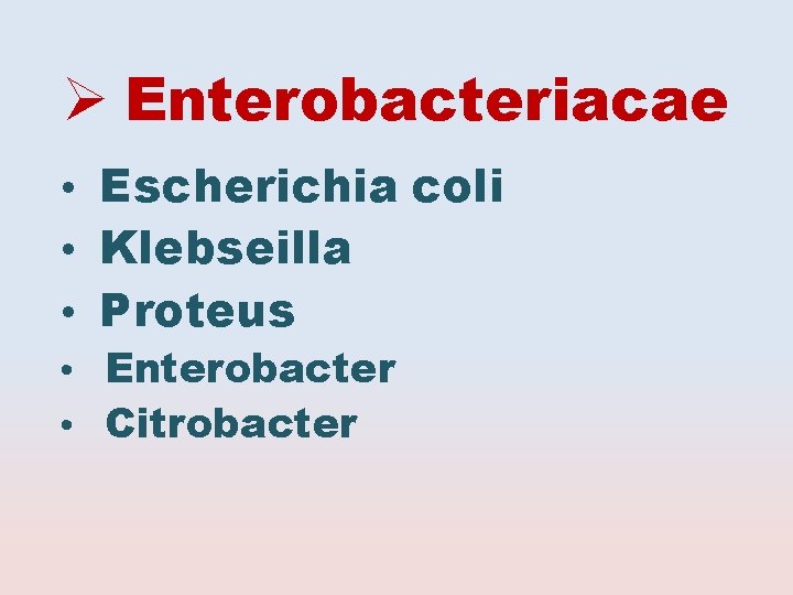  Enterobacteriacae • Escherichia coli • Klebseilla • Proteus • Enterobacter • Citrobacter 