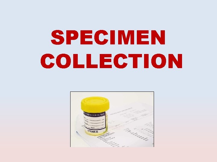 SPECIMEN COLLECTION 