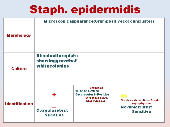 Staph. epidermidis Microscopicappearance: Grampositivecocciinclusters Morphology Culture Identification Bloodcultureplate showinggrowthof whitecolonies + _ Coagulasetest Negative