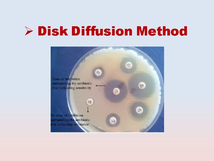 Disk Diffusion Method 