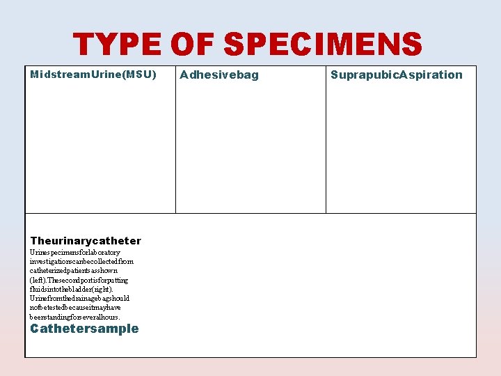 TYPE OF SPECIMENS Midstream. Urine(MSU) Theurinarycatheter Urinespecimensforlaboratory investigationscanbecollectedfrom catheterizedpatientsasshown (left). Thesecondportisforputting fluidsintothebladder(right). Urinefromthedrainagebagshould notbetestedbecauseitmayhave