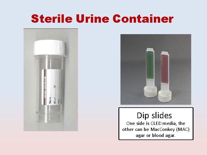 Sterile Urine Container Dip slides One side is CLED media, the other can be