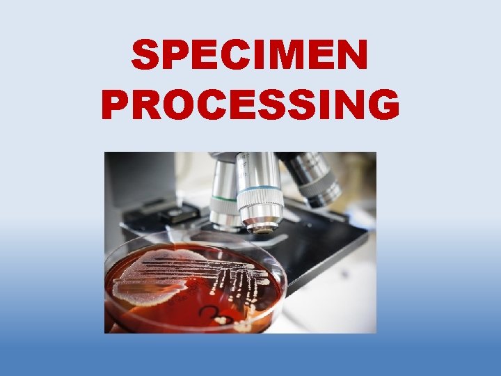 SPECIMEN PROCESSING 