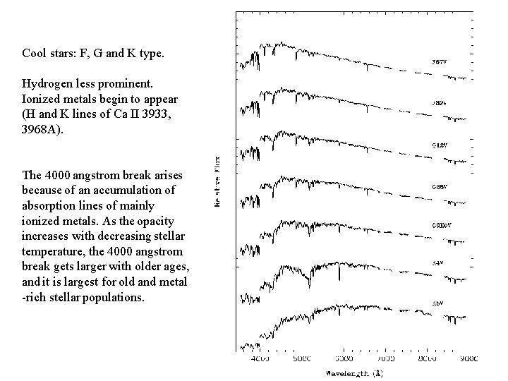 Cool stars: F, G and K type. Hydrogen less prominent. Ionized metals begin to