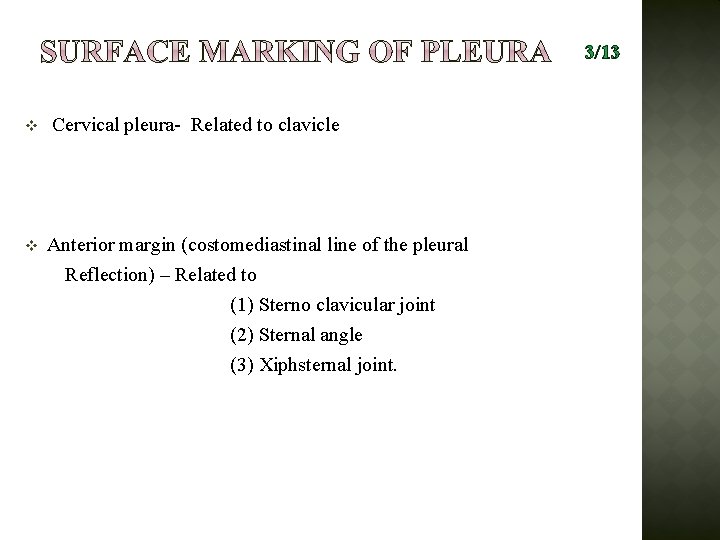 3/13 v v Cervical pleura- Related to clavicle Anterior margin (costomediastinal line of the