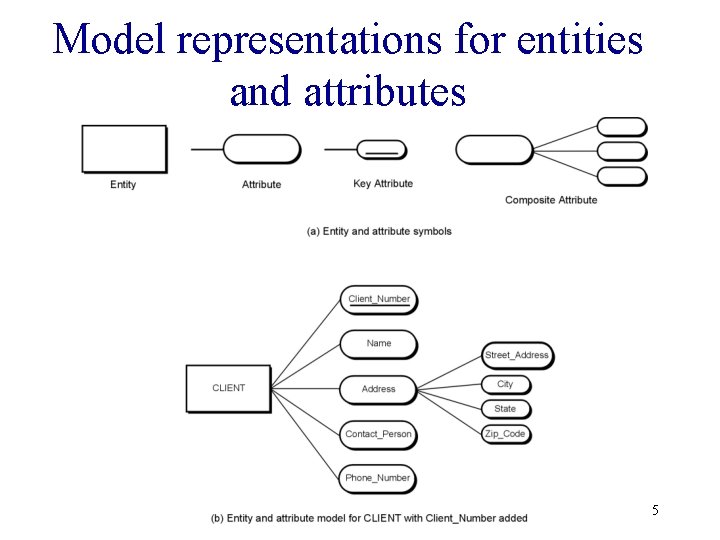 Model representations for entities and attributes 5 Model representations for entities and attributes 5
