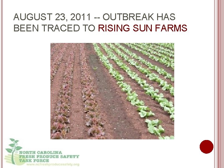 AUGUST 23, 2011 -- OUTBREAK HAS BEEN TRACED TO RISING SUN FARMS 