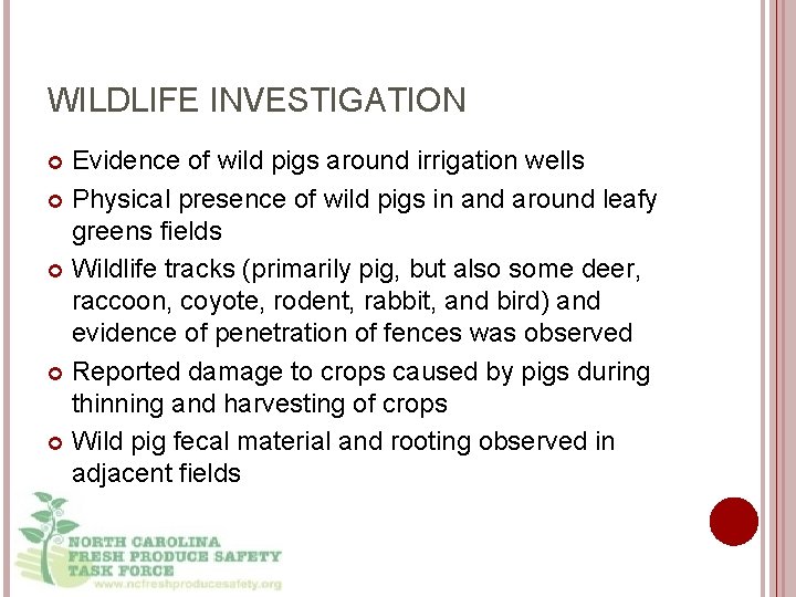 WILDLIFE INVESTIGATION Evidence of wild pigs around irrigation wells Physical presence of wild pigs