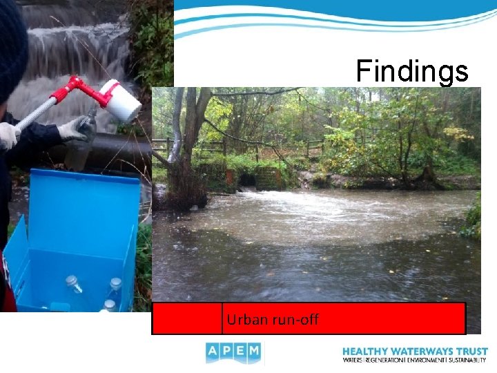 Findings Urban run-off 