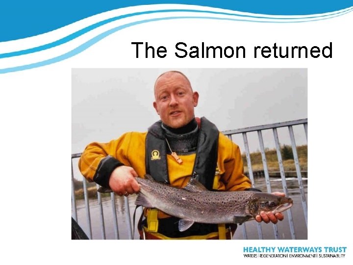 The Salmon returned 