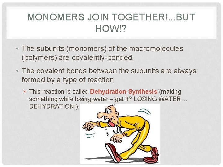 MONOMERS JOIN TOGETHER!. . . BUT HOW!? • The subunits (monomers) of the macromolecules