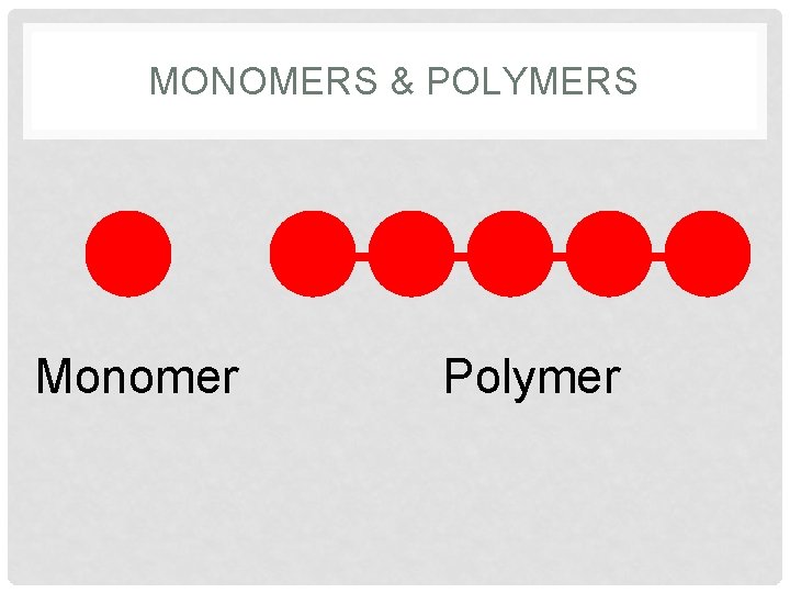 MONOMERS & POLYMERS Monomer Polymer 