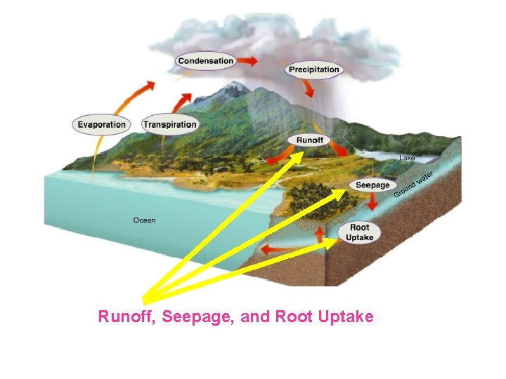 Runoff, Seepage, and Root Uptake 