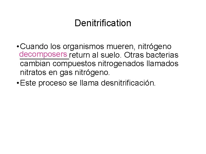 Denitrification • Cuando los organismos mueren, nitrógeno decomposers ______return al suelo. Otras bacterias cambian