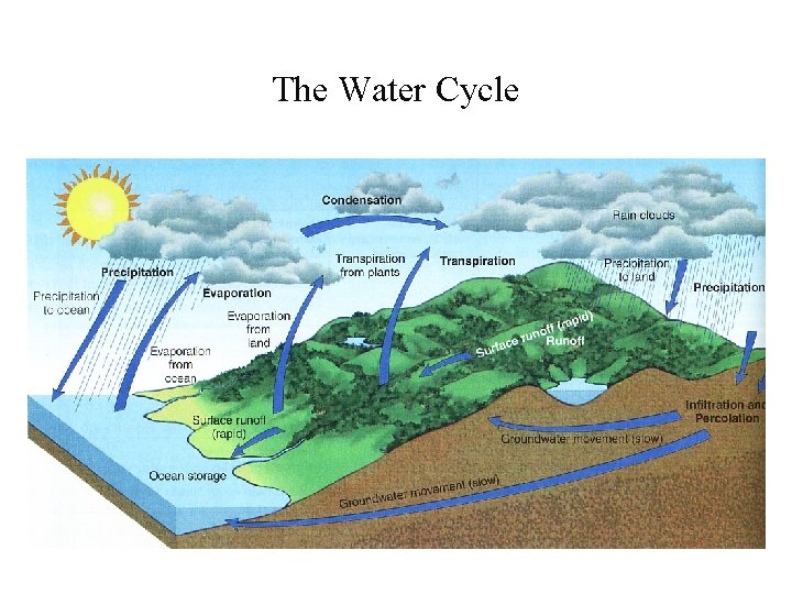 The Water Cycle 