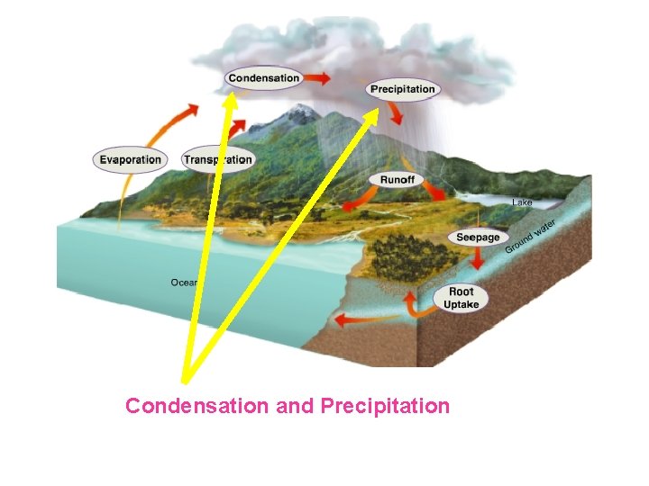 Condensation and Precipitation 