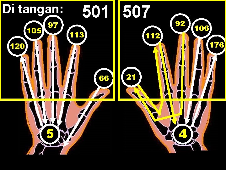 Di tangan: 105 97 501 507 113 112 120 66 5 92 106 176