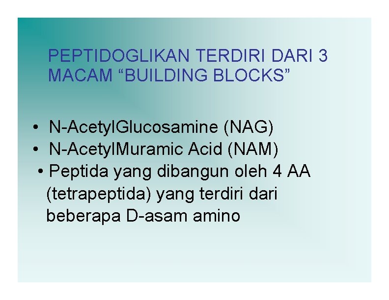 PEPTIDOGLIKAN TERDIRI DARI 3 MACAM “BUILDING BLOCKS” • N-Acetyl. Glucosamine (NAG) • N-Acetyl. Muramic