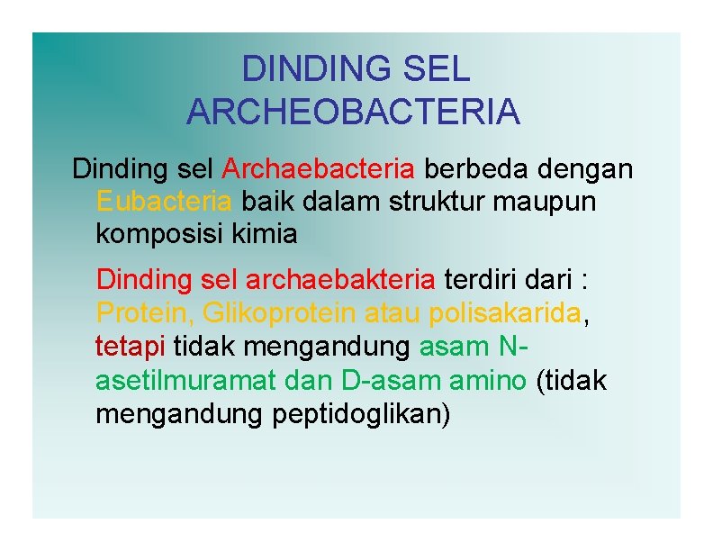 DINDING SEL ARCHEOBACTERIA Dinding sel Archaebacteria berbeda dengan Eubacteria baik dalam struktur maupun komposisi
