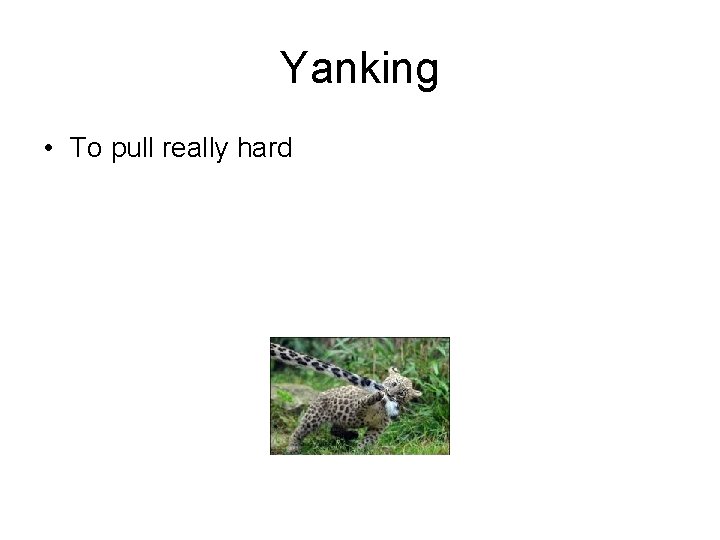 Yanking • To pull really hard 