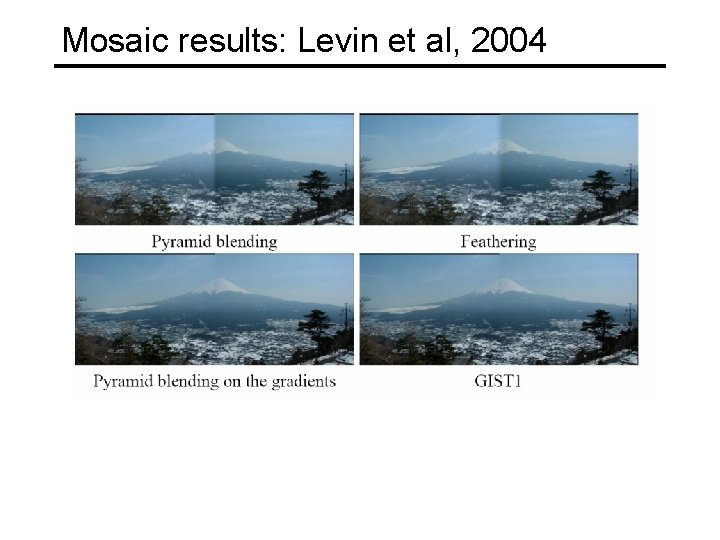 Mosaic results: Levin et al, 2004 