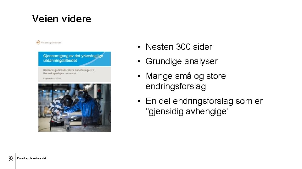 Veien videre • Nesten 300 sider • Grundige analyser • Mange små og store