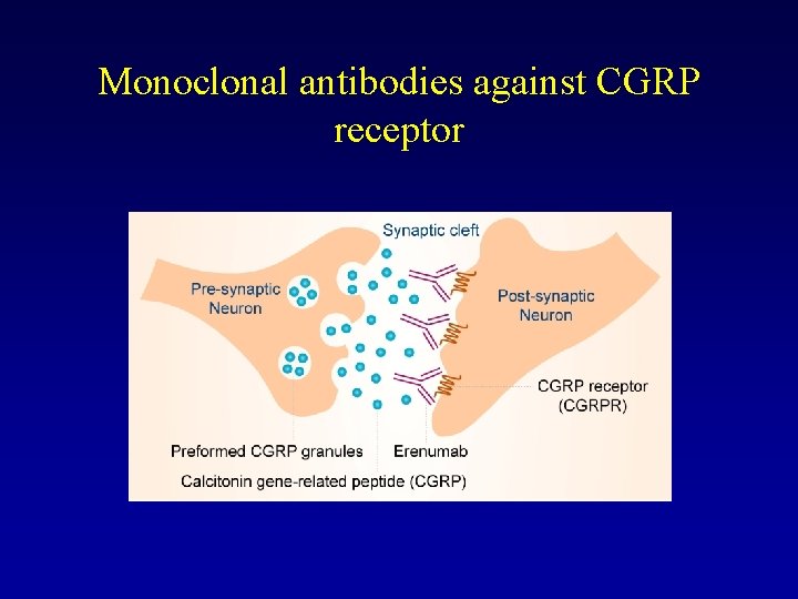 Monoclonal antibodies against CGRP receptor 