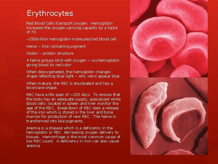 Erythrocytes Red Blood Cells transport oxygen. Hemoglobin increases the oxygen carrying capacity by a