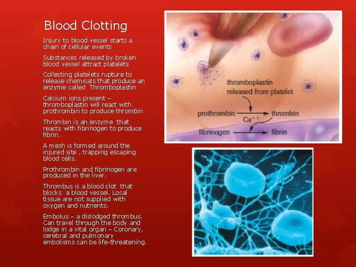 Blood Clotting Injury to blood vessel starts a chain of cellular events Substances released