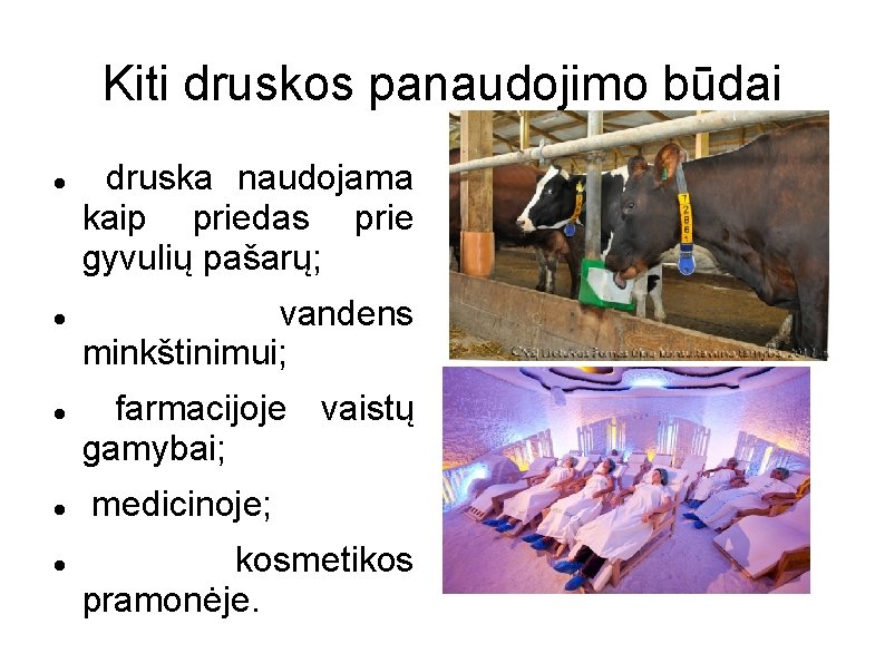 Kiti druskos panaudojimo būdai druska naudojama kaip priedas prie gyvulių pašarų; vandens minkštinimui; farmacijoje