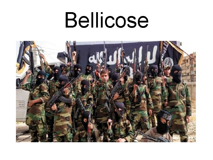 Bellicose 