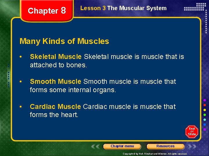 Chapter 8 Lesson 3 The Muscular System Many Kinds of Muscles • Skeletal Muscle
