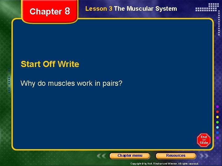 Chapter 8 Lesson 3 The Muscular System Start Off Write Why do muscles work