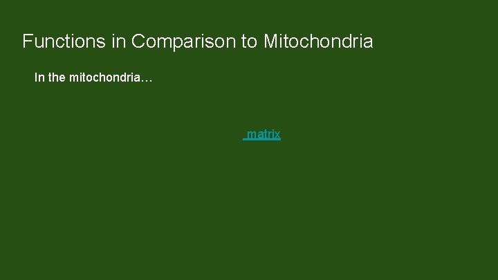 Functions in Comparison to Mitochondria In the mitochondria… The proton gradient is generated across