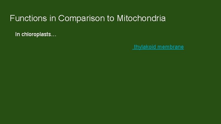 Functions in Comparison to Mitochondria In chloroplasts… The proton gradient is generated across the