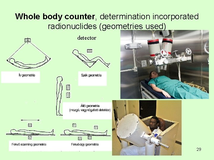 Whole body counter, determination incorporated radionuclides (geometries used) detector 29 