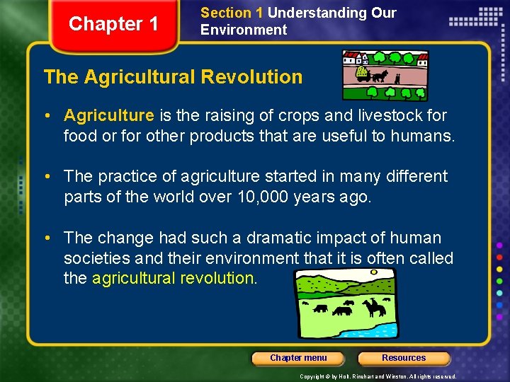 Chapter 1 Section 1 Understanding Our Environment The Agricultural Revolution • Agriculture is the