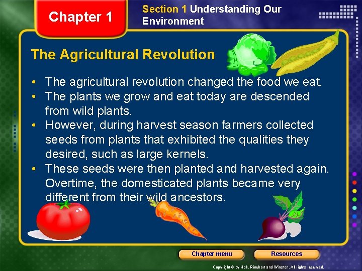 Chapter 1 Section 1 Understanding Our Environment The Agricultural Revolution • The agricultural revolution