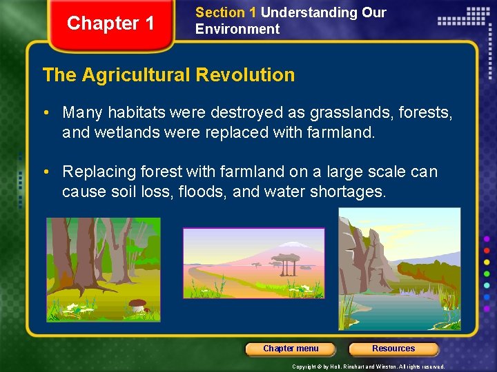 Chapter 1 Section 1 Understanding Our Environment The Agricultural Revolution • Many habitats were