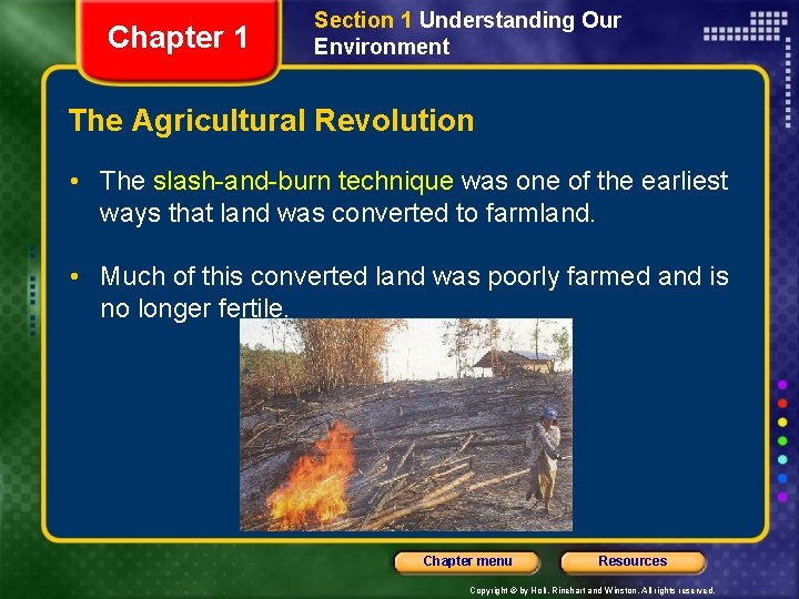 Chapter 1 Section 1 Understanding Our Environment The Agricultural Revolution • The slash-and-burn technique Chapter 1 Section 1 Understanding Our Environment The Agricultural Revolution • The slash-and-burn technique