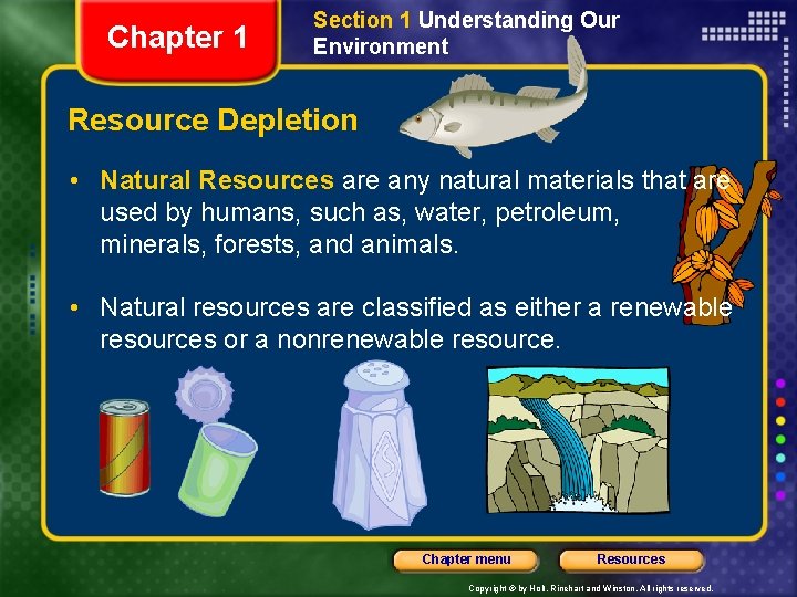 Chapter 1 Section 1 Understanding Our Environment Resource Depletion • Natural Resources are any