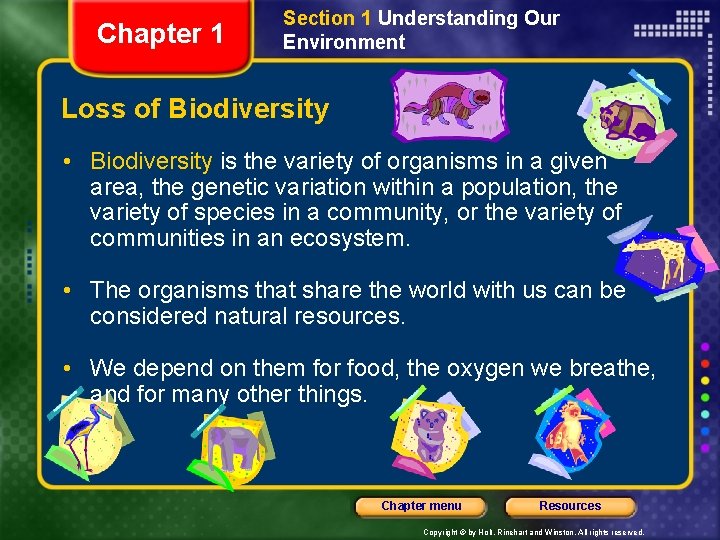 Chapter 1 Section 1 Understanding Our Environment Loss of Biodiversity • Biodiversity is the