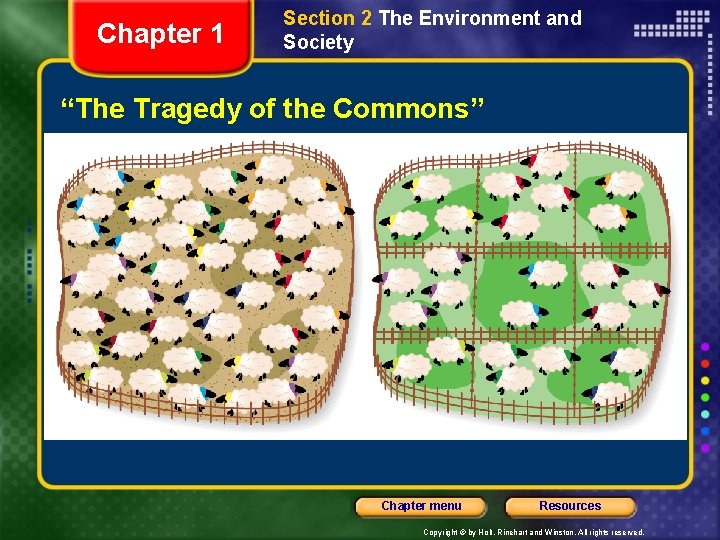 Chapter 1 Section 2 The Environment and Society “The Tragedy of the Commons” Chapter